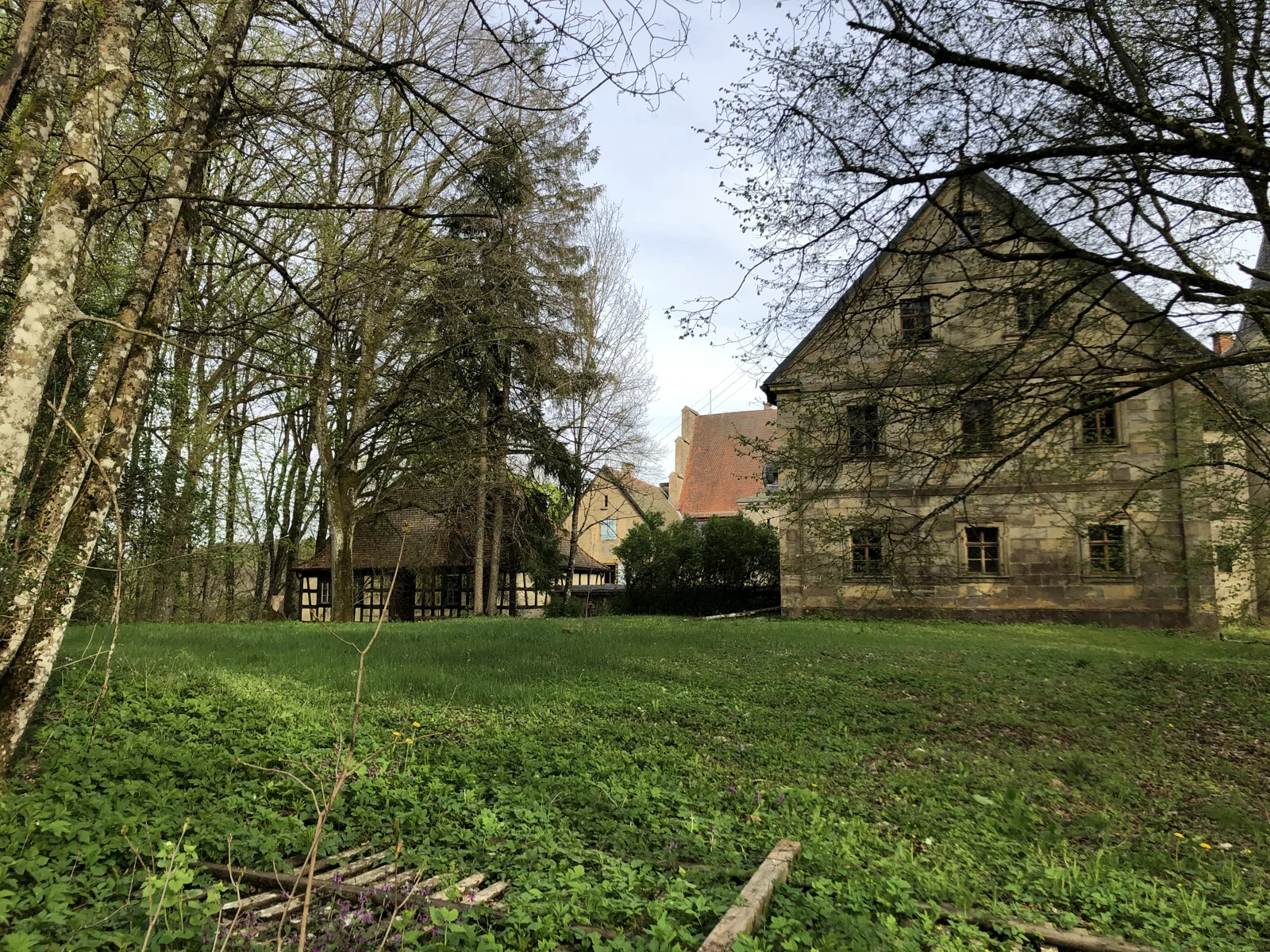 Blick von der Wiese auf das Forsthaus zwischen alten Bäumen